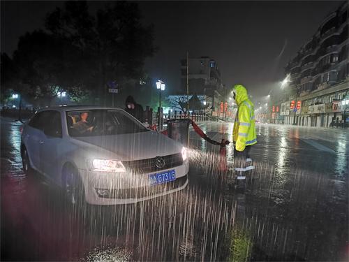 閃耀黨徽，逆行戰“疫”！一次特殊的主題黨日活動